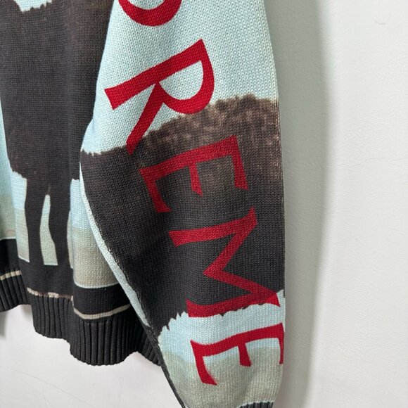 Supreme x Damien Hirst Collaboration Pullover Knit Sweater - Picture 8 of 9